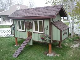 Testimonials Cleancoops Com Fancy Chicken Coop Chicken Coop Plans Diy Chicken Coop