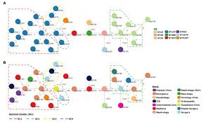Pneumoniae hs11286 download sequences in fasta format for genome, protein major sites of infection include the lungs, where it causes a type of pneumonia, and urinary tract infections. Microorganisms Free Full Text Genomic Epidemiology Of Carbapenemase Producing Klebsiella Pneumoniae Strains At A Northern Portuguese Hospital Enables The Detection Of A Misidentified Klebsiella Variicola Kpc 3 Producing Strain Html