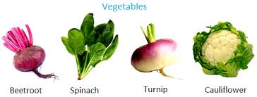 Food From Plants Roots As Vegetables Leaves As Food