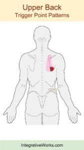 Pin On Exercises