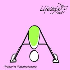 Prasarita Padottanasana Yoga Para Criancas Criancas Yoga