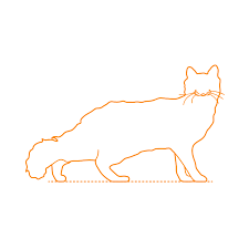 1 centimetres = 0.39370078740157 inches using the online calculator for metric conversions. British Shorthair Cat Dimensions Drawings Dimensions Com