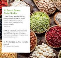 Wesort Beans Color Sorter–6SXZ-90 – colour sorting machine ...
