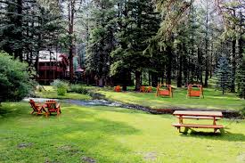 Mountain biking mountain biking in white mountains; Lodging Greer Az Red Setter Riverside Retreat