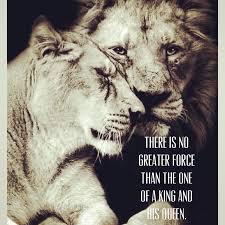 King Queen Lion Lioness Love King Queen Animals Animals Beautiful Animals Wild