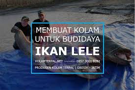 Oleh Karena Itu Sebelum Memulai Membudidayakan Ikan Lele Peternak Harus Terlebih Dahulu Memilih Jenis Kolam Yang Akan Digunakan Berd Kolam Tekstur Tanah Ikan