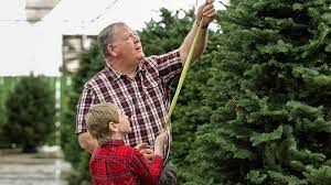 How To Start A Tree Farm - Small Business Trends