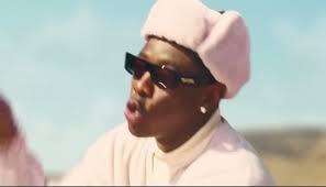 #tyler #tyler the creator #hawk #hawktuah