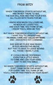 Pin By Amy Pellnitz On Sayings Dog Poems Pet Grief Pet Remembrance
