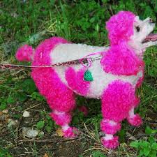 Short for archibalt' also a popular character in a comic series of the same name. 28 Funny Female Dog Names Inspired By Movie Characters Pethelpful