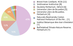 Image result for Berlinia orientalis