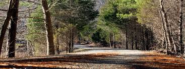 We did not find results for: Rental Cabins Harned Ky Mountain Laurel Lake