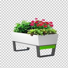 Garden Watering Can Planter Flowerpot Flower Box Png Courtyard Flower Flower Pot Flowers Flower Vector In 2020 Flower Pots Flower Boxes Water Garden