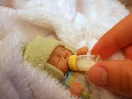 Epingle Par Luna Sur Miniature Poupees Miniatures Bebes Reborn Miniatures Pour Maison De Poupee