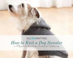 11,289 likes · 248 talking about this. How To Knit A Dog Sweater 10 More Adorable Animal Patterns Allfreeknitting Com