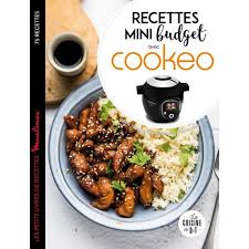 Larousse Recettes Mini Budget Avec Cookeo Livre De Cuisine Tablette De Cuisine Boulanger En 2020 Recette Cookeo Pdf Livre De Recette Cookeo Recette