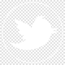 Twitter Logo Black Logo Twitter Blanc, Trademark, Bird, Animal Transparent  Png – Pngset.com