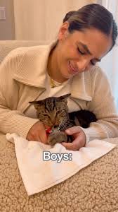 Kareem & Fifi (@dontstopmeowing) • Instagram photos and videos