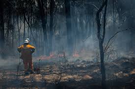 Fires are also thought to have destroyed up to a third of the vines that provide grapes for the adelaide hills wine industry. Adelaide Hills Bushfires Never A Better Time To Buy Local Wine