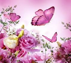 Check spelling or type a new query. Flowers And Butterflies Pink Butterflies Flowers Beauty Nature Pink Roses Hd Wallpaper Peakpx