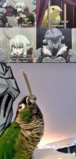 Goblin Slayer Goblin Anime Funny Anime Memes Funny