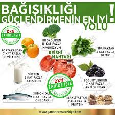 Isik Adli Kullanicinin Saglikli Yasam Panosundaki Pin Spirulina Saglikli Gidalar Tirtil Mantari