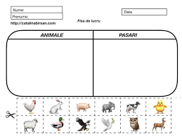 We did not find results for: FiÈ™e De Lucru DecupeazÄƒ È™i LipeÈ™te In CÄƒsuÈ›a PotrivitÄƒ Animale Domestice SÄƒlbatice PÄƒsÄƒ Preschool Activities Kindergarten Worksheets Kindergarten Activities