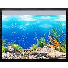 Maybe you would like to learn more about one of these? Fish Tank Background Hd 3d Drawing Aquarium Glass Wall Background Drawing Double Sides Decorative Sticker Hot Sale Decorations Aliexpress