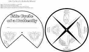 Ovo, larva (caterpillar), pupa (chrysalis) and imago (adult). Butterfly Life Cycle Coloring Pages Coloring Home