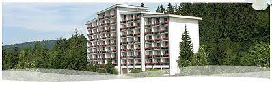 The haus bayerwald also offers special music and dance programmes and a range of wellness treatments. Familienurlaub Im Hotel Bayerischer Wald Familienhotel Bayerischer Wald Mit Ferienangeboten