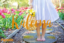 Ada bunga mawar, ada bunga melati, ada bunga bugenfil, ada bunga anggrek. 14 Inspirasi Nama Bayi Perempuan Berdasarkan Nama Bunga Mancanegara Unik Cantik Dan Belum Pasaran