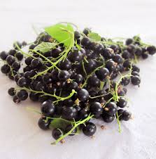 Acest gem cucereste prin gust, culoare, aromă. Dulceata Gem De Coacaze Negre Laura LaurenÈ›iu