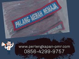Saya juga ikut berorganisasi osis. Contoh Kalimat Promosi Ekskul Pmr