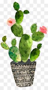 Watercolor cactus and succulents stock illustration. Cactus Png Watercolor Cactus Cactus Flower Cartoon Cactus Cactus Vector Cute Cactus Cactus Background Cactus Border Desert Cactus Cactus Silhouette Mexican Cactus Cactus Cute Cactus Plants Cleanpng Kisspng