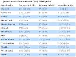 bird house hole size best dimensions