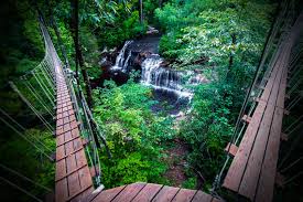 North carolina convention ratifies the u.s. Winter Activities Zipquest Waterfall Treetop Adventure