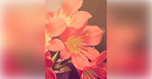 Obituary information for Jennifer Keyser