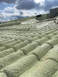 Image result for Monosis