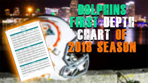 Miami Dolphins First Depth Chart Miami Dolphins Fan Reaction