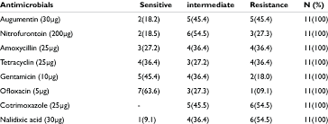 Image result for Staphylococcus Saprophyticus