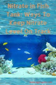 Nitrate In Fish Tank Ways To Keep Nitrate Level On Track In 2020 Fish Tank Fish Care Aquarium Maintenance