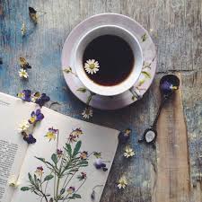 Halls Of Nienna Myend Ismybeginning Source Coffee Love Tea And Books Coffee Cafe