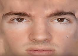 Flamingo Quiz Quiz Quizizz Johannen aretz was born in 1660. flamingo quiz quiz quizizz