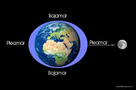 Resultado de imagen de MOVIMIENTOS LUNARES primaria