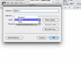 The insert caption feature in word does most of the heavy lifting for you, when you want to add a caption to a picture. Captions Thesis Formatting On Microsoft Word For Mac 2011 Youtube