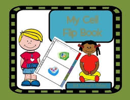 Check spelling or type a new query. Cell Flip Book Worksheets Teaching Resources Tpt