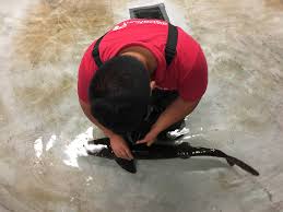 Maybe you would like to learn more about one of these? Vancouver Aquarium Rehabilitates And Releases Shark For The First Time Ever