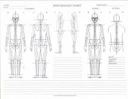 Posturology Chart Blank Massage Therapy Physical Therapy