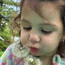 wish papa john gives discount globally for a heat win 😆 #winning