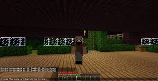 Top 5 scary minecraft herobrine sightings! Real Life Minecraft Herobrine